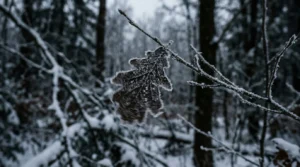 Metaphor for Shivering