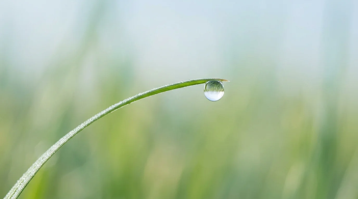 What Is a Metaphor for Simplicity